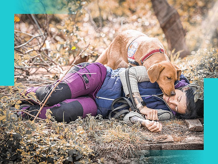 Szene im Wald: ein Assistenzhund steht einer liegenden Frau bei