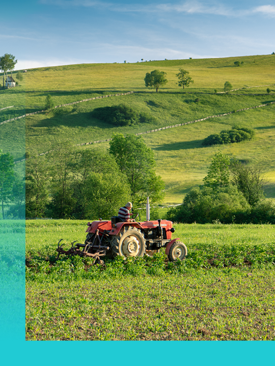 Ein Traktor mit Egge auf einem Feld